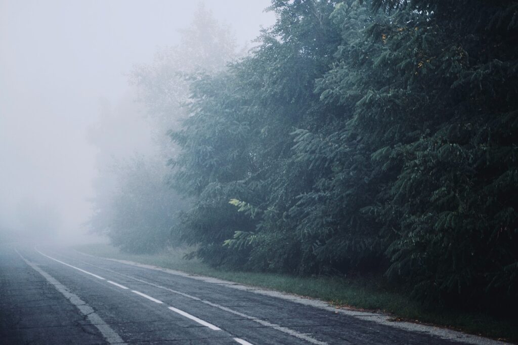 Dense Fog in Punjab Leads to Motorway Closures!