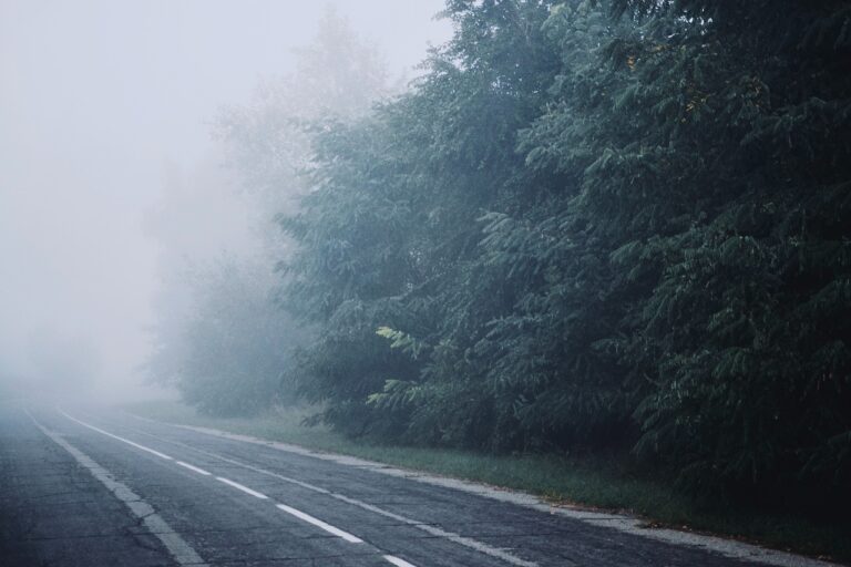 Dense Fog in Punjab Leads to Motorway Closures!