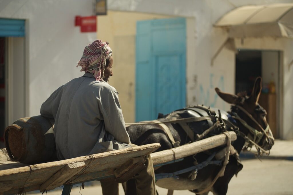 Sindh Government Hosts Exciting Donkey Cart Race in Karachi!