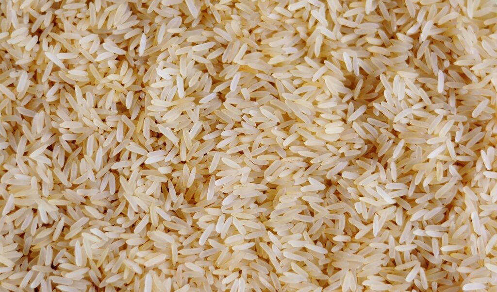 Rice