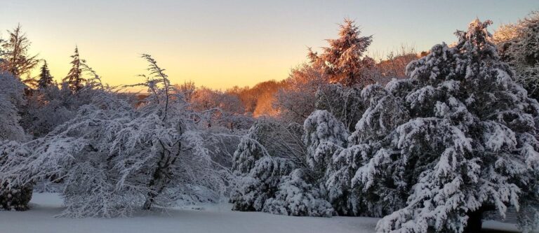 Freezing Temperatures Grip Islamabad and Other Cities Across Pakistan!