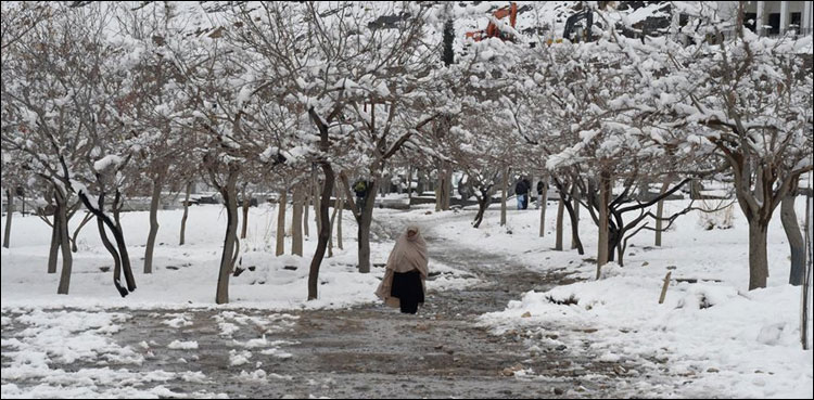 Snowfall and Rain Transform Balochistan into a Winter Wonderland!