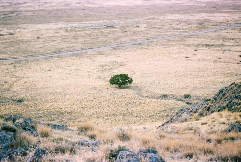 Faces Rising Drought Risk