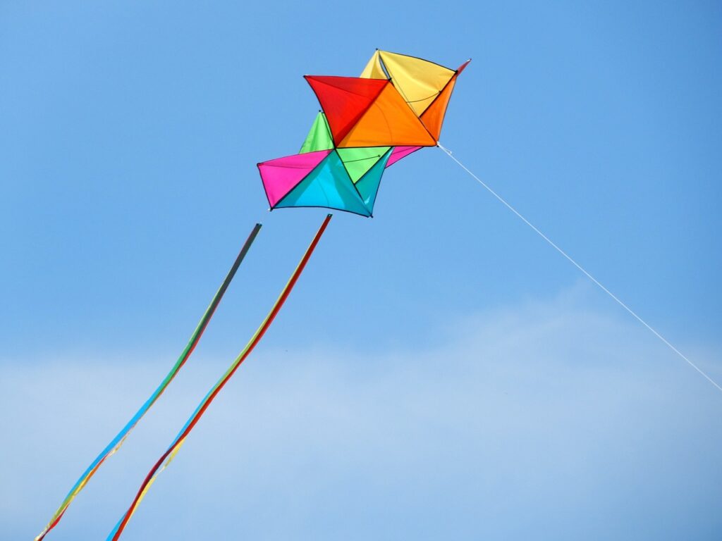 Punjab Strict New Laws Against Kite Flying