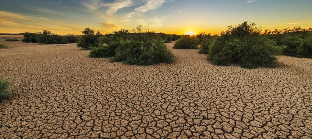 Pakistan Faces Rising Drought Risk Amid 40% Drop in Rainfall!