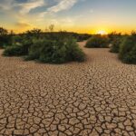 Pakistan Faces Rising Drought Risk Amid 40% Drop in Rainfall!