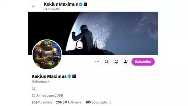 Elon Musk Renames His X Profile to Kekius Maximus!