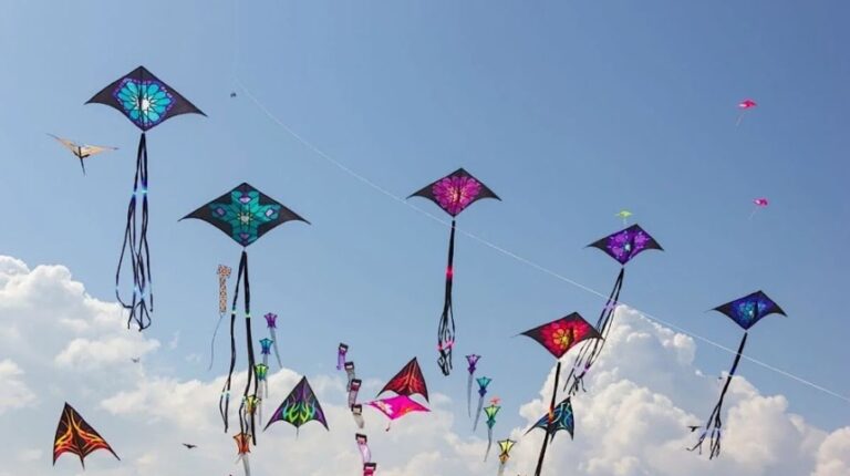 Punjab Strict New Laws Against Kite Flying!