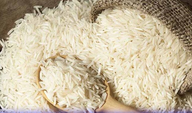 Pakistan to Launch New Authority to Boost Rice Exports!