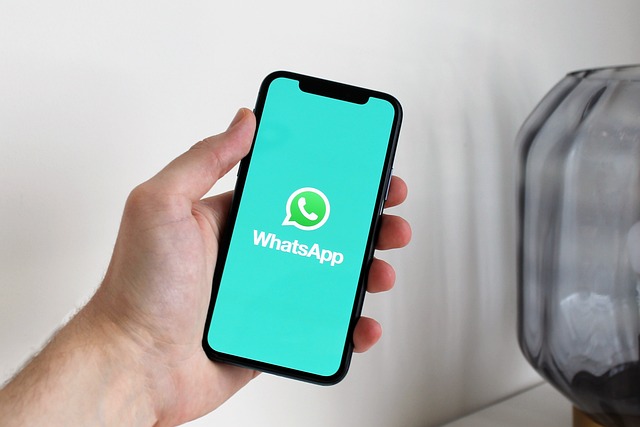 WhatsApp Launches New Features for Easier Chat Management and Human Support!