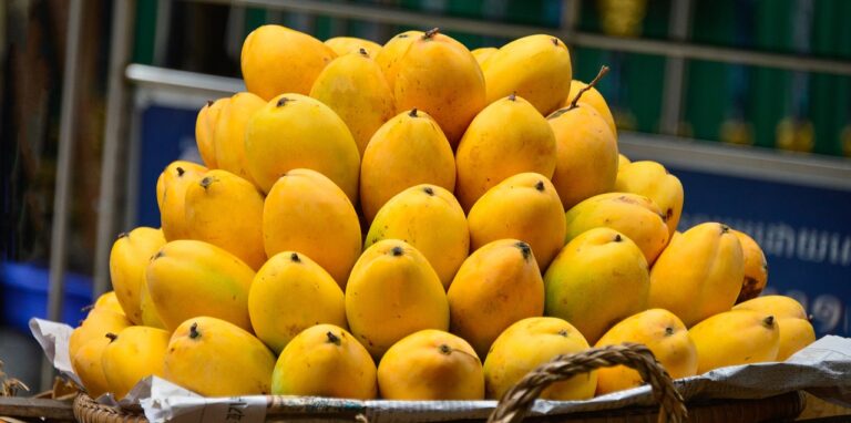 UAE Tops List as Biggest Buyer of Pakistani Mangoes!