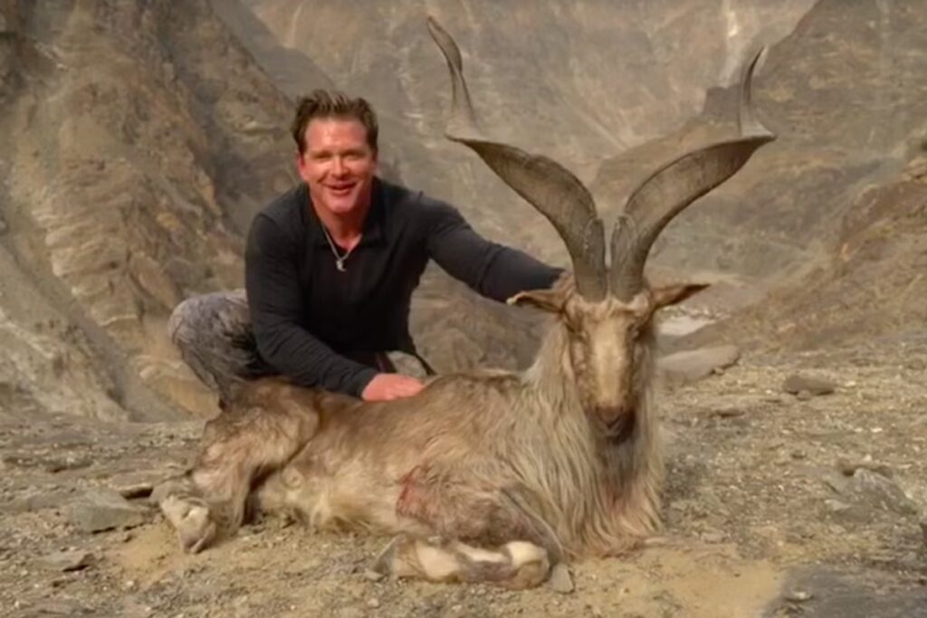 American Hunter Pays $52,000 to Hunt Rare Markhor in Pakistan!